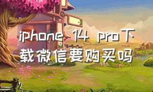 iphone 14 pro下载微信要购买吗