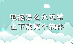 电脑怎么永远禁止下载某个软件