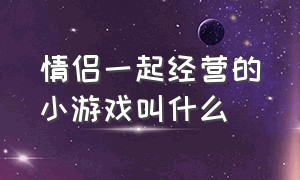 情侣一起经营的小游戏叫什么（情侣一起玩的双人游戏养成经营）