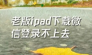 老版ipad下载微信登录不上去