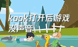 kook打开后游戏没声音