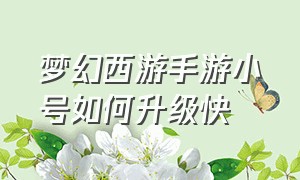 梦幻西游手游小号如何升级快（梦幻西游手游60以后怎么升级最快）