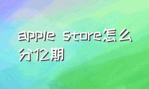 apple store怎么分12期