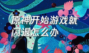 原神开始游戏就闪退怎么办