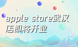 apple store武汉店即将开业