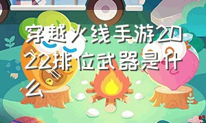 穿越火线手游2022排位武器是什么