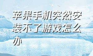 苹果手机突然安装不了游戏怎么办