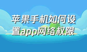 苹果手机如何设置app网络权限（苹果手机如何设置app密码锁）