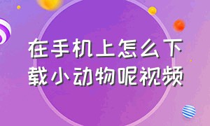 在手机上怎么下载小动物呢视频（能和动物交流的软件怎么才能下载）