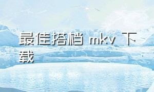 最佳搭档 mkv 下载