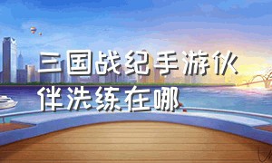 三国战纪手游伙伴洗练在哪