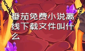 番茄免费小说离线下载文件叫什么