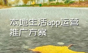 本地生活app运营推广方案