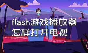 flash游戏播放器怎样打开电视（flash游戏播放器怎么打开游戏）