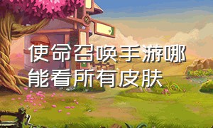 使命召唤手游哪能看所有皮肤（使命召唤:战区手游）