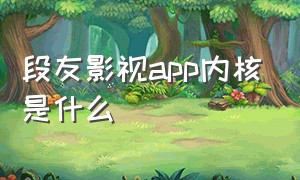 段友影视app内核是什么