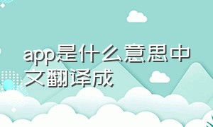 app是什么意思中文翻译成（app怎么翻译中文）