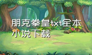 朋克拳皇txt全本小说下载