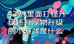 4399里面打怪升级还有宠物升级的小游戏是什么（4399双人游戏打怪升级宠物）