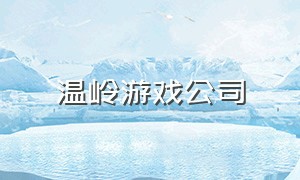 温岭游戏公司