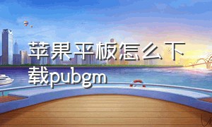 苹果平板怎么下载pubgm（苹果平板怎么设置横竖屏切换）