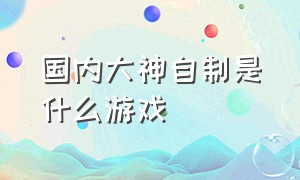 国内大神自制是什么游戏