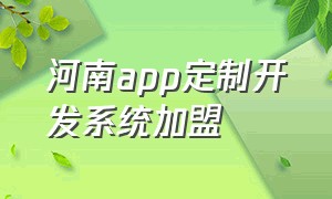 河南app定制开发系统加盟