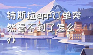 特斯拉app订单突然看不到了怎么办（特斯拉皮卡的订单看不到了?）