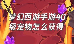 梦幻西游手游40级宠物怎么获得