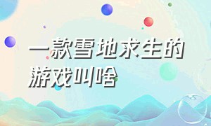 一款雪地求生的游戏叫啥