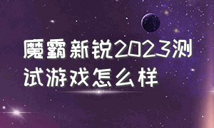 魔霸新锐2023测试游戏怎么样（魔霸新锐2024测评游戏帧数）