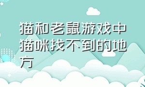 猫和老鼠游戏中猫咪找不到的地方（猫和老鼠游戏中免费又好用的老鼠）