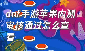 dnf手游苹果内测审核通过怎么查看