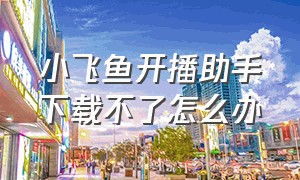 小飞鱼开播助手下载不了怎么办