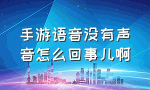 手游语音没有声音怎么回事儿啊