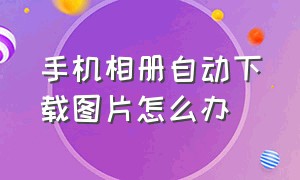 手机相册自动下载图片怎么办（手机相册自动下载图片怎么办呀）