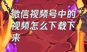 微信视频号中的视频怎么下载下来（微信视频号的视频怎么下载下来?）