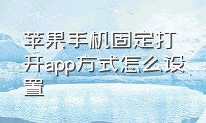 苹果手机固定打开app方式怎么设置