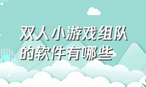 双人小游戏组队的软件有哪些