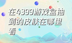 在4399游戏盒抽到的皮肤在哪里看