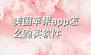 美国苹果app怎么购买软件