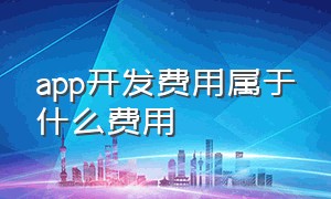 app开发费用属于什么费用