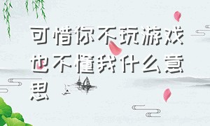 可惜你不玩游戏也不懂我什么意思