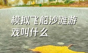 模拟飞船沙滩游戏叫什么（模拟飞行的游戏叫什么名字）