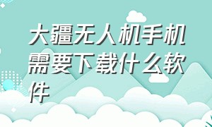 大疆无人机手机需要下载什么软件