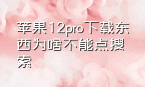 苹果12pro下载东西为啥不能点搜索