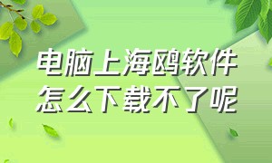 电脑上海鸥软件怎么下载不了呢