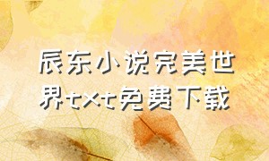 辰东小说完美世界txt免费下载