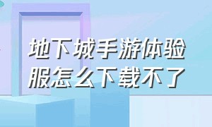 地下城手游体验服怎么下载不了