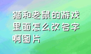 猫和老鼠的游戏里面怎么改名字啊图片